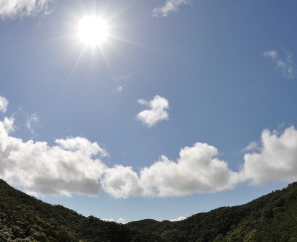 新海誠監督の「天気の子」が気になる…